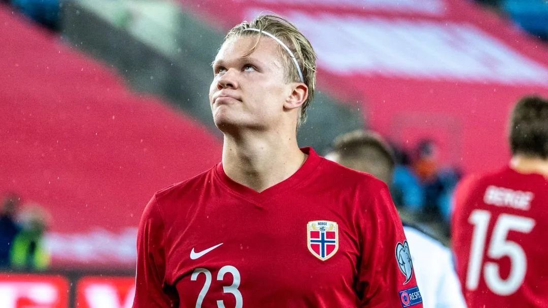 继续围绕粉 继续围绕粉